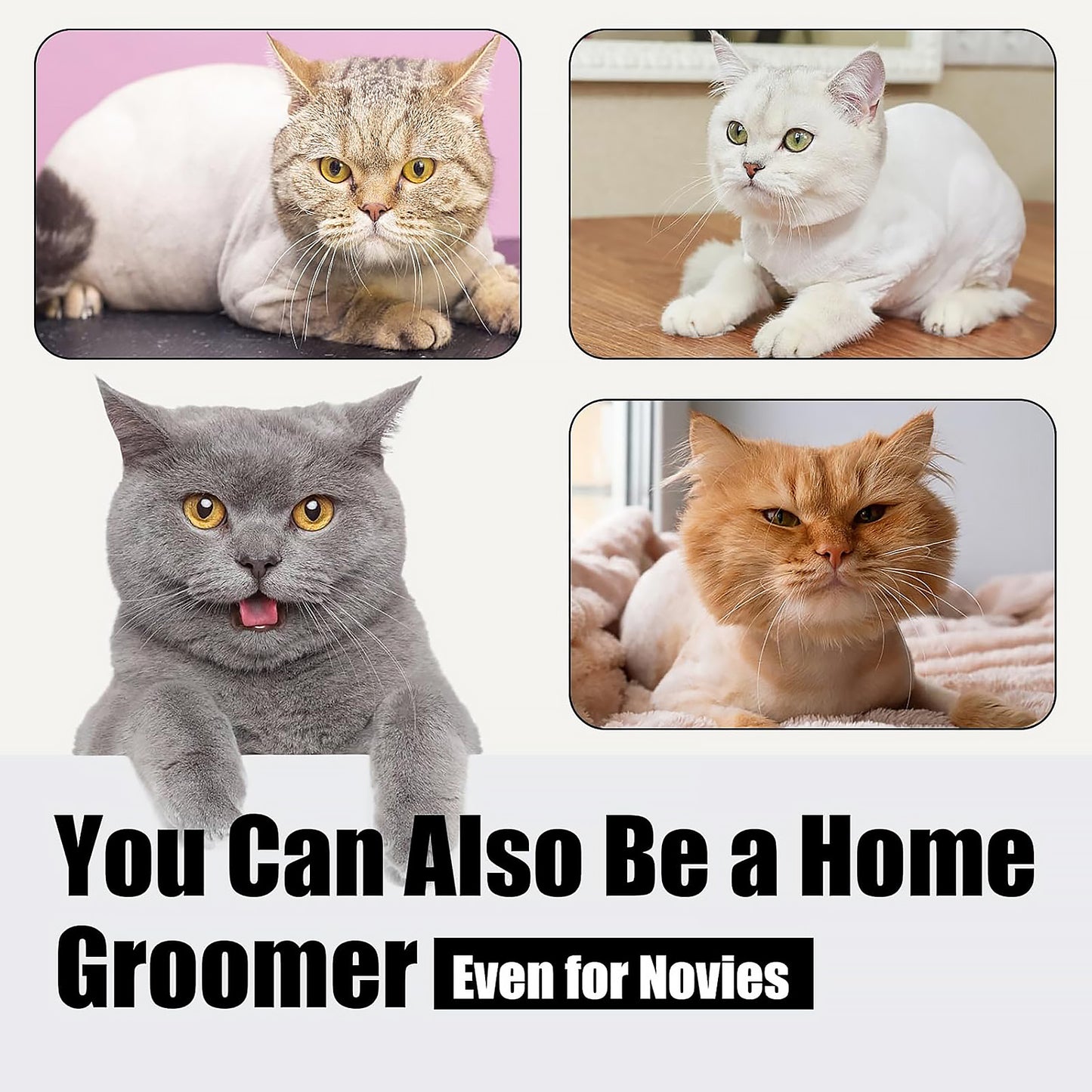 Gooad Cat Grooming Kit, Cat Clippers for Matted Hair, Cordless Cat Shaver for Long Hair, Low Noise Paw Trimmer, Cat Hair Trimmer for Grooming,Quiet Pet Hair Clippers Tools for Cats Dogs (Black)